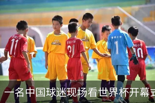 一名中国球迷现场看世界杯开幕式“破防”：要是有我们的球队该多好